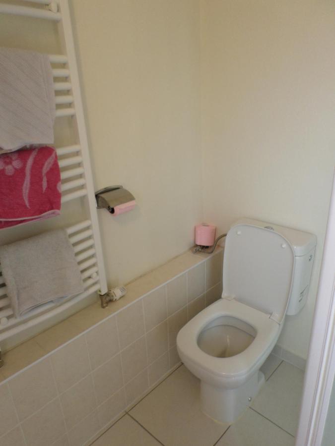 Studio-Appartement A Proximite D'Une Maison De Maitre De 1904 Haguenau Luaran gambar